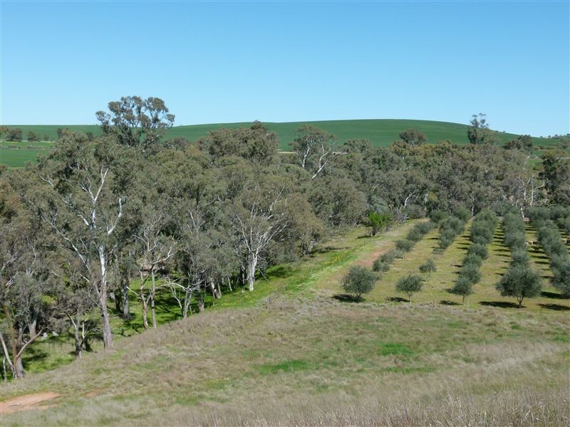 L89 Beetaloo Valley Road, Beetaloo SA 5523