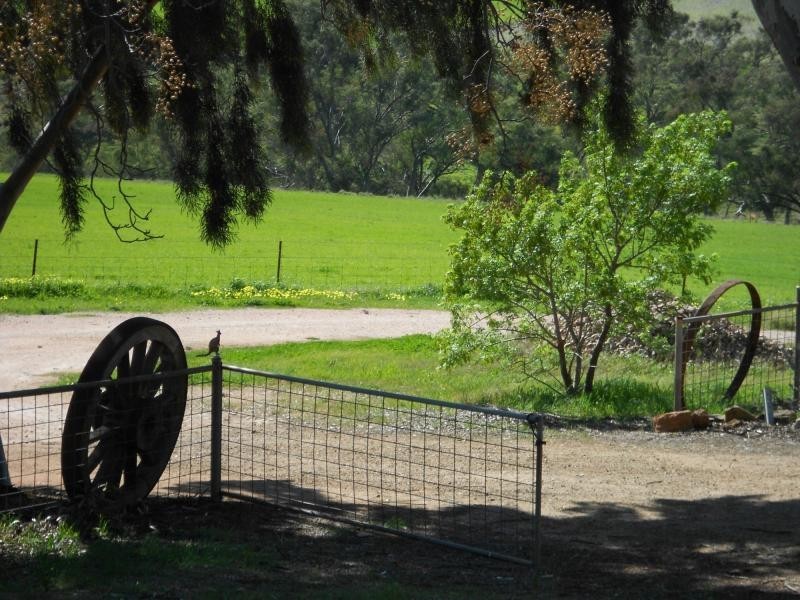 L89 Beetaloo Valley Road, Beetaloo SA 5523