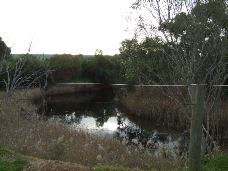 L96 Ellis Street, Redhill SA 5521