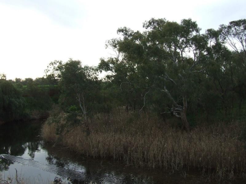 L96 Ellis Street, Redhill SA 5521