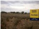 L175 & 176 Mitchell Street, Terowie SA 5421
