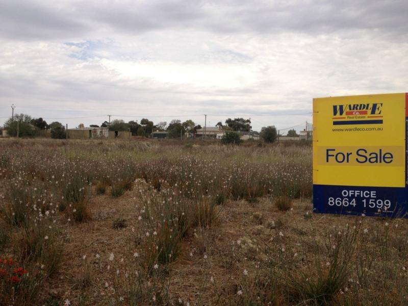 L175 & 176 Mitchell Street, Terowie SA 5421