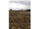 L175 & 176 Mitchell Street, Terowie SA 5421
