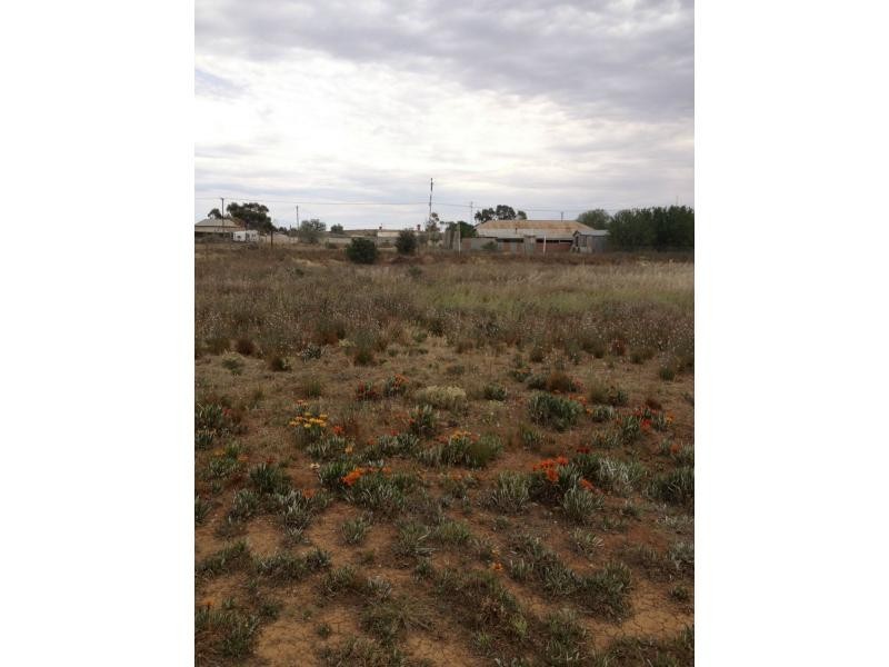 L175 & 176 Mitchell Street, Terowie SA 5421