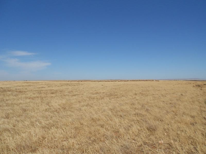 L1&2 Mallee Road, Wandearah East SA 5523