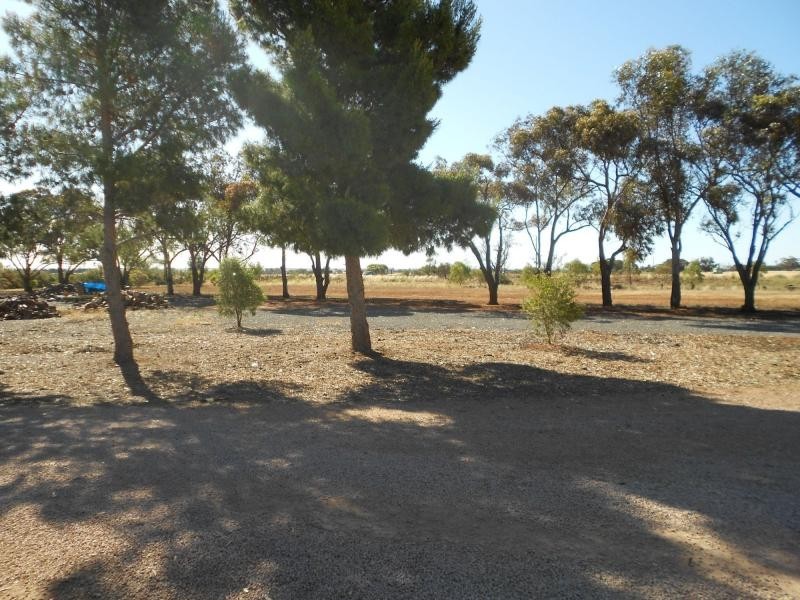 11072 Augusta Highway, Warnertown SA 5540