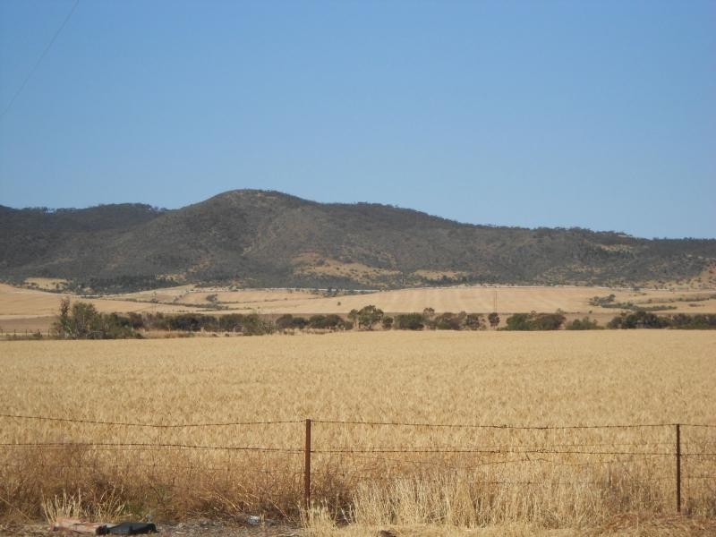 11072 Augusta Highway, Warnertown SA 5540