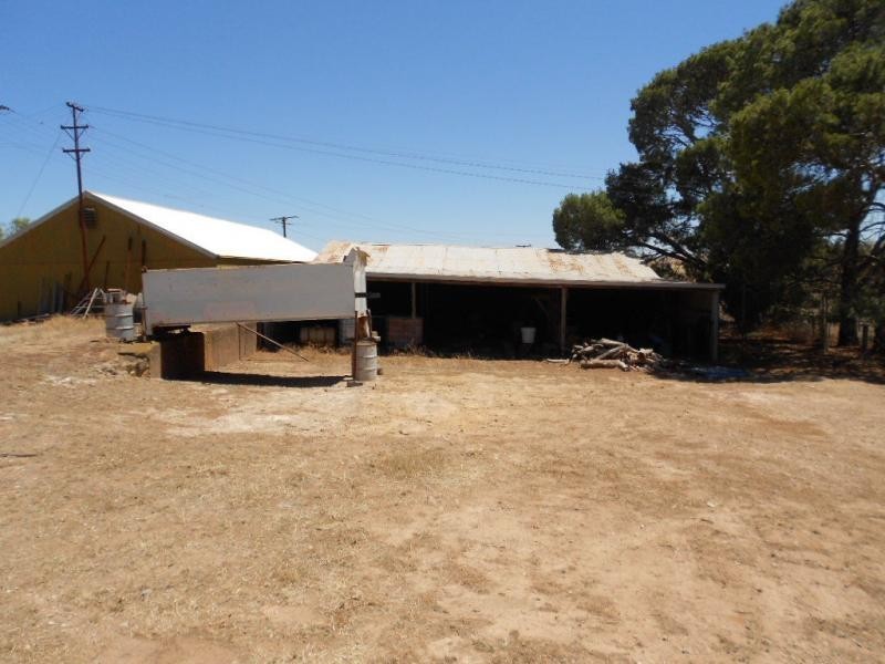 230 Wilsdonville Road, Appila SA 5480