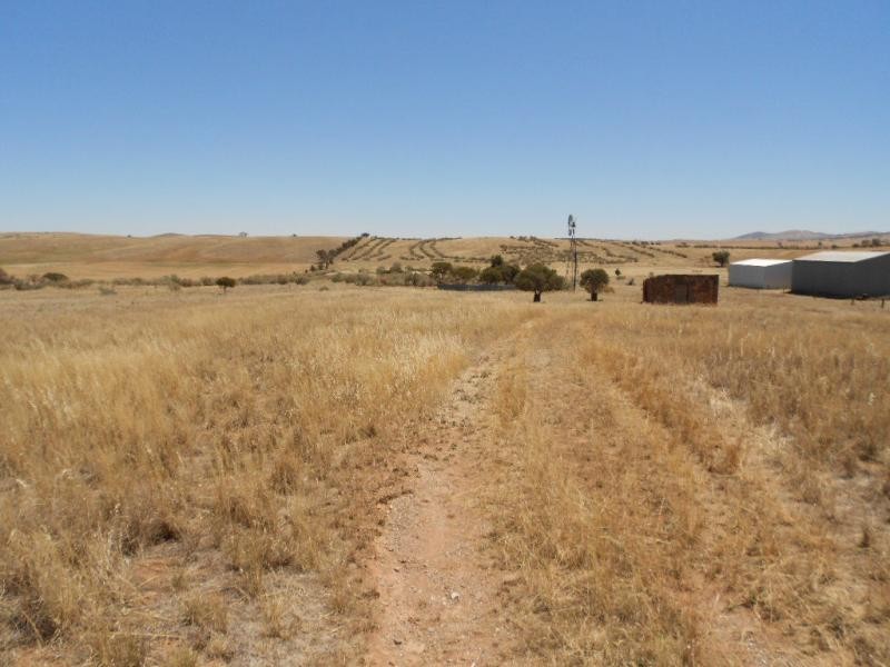 230 Wilsdonville Road, Appila SA 5480