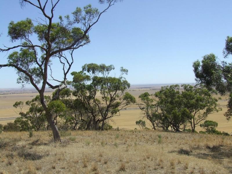 21SE Main Road, Beetaloo SA 5523