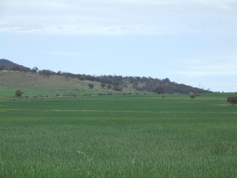 Wilmington SA 5485