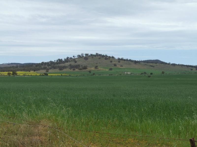 Wilmington SA 5485