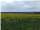 Wilmington SA 5485