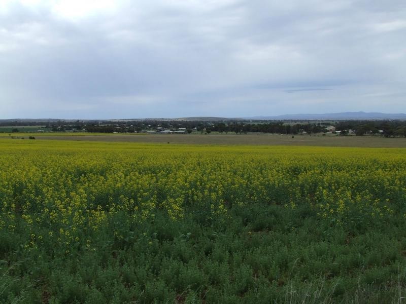 Wilmington SA 5485