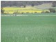 Wilmington SA 5485