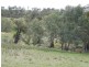 Wilmington SA 5485