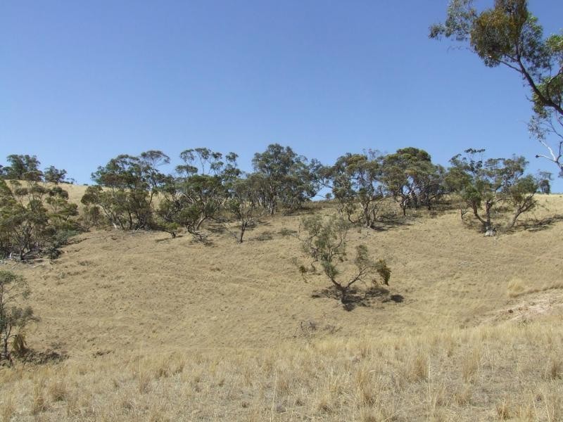 21SE Main Road, Beetaloo SA 5523