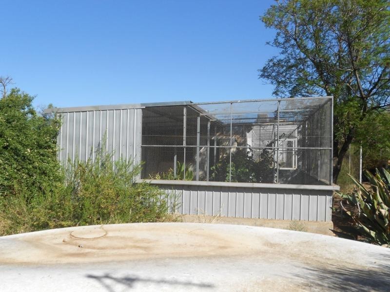 648 Railway Terrace, Bungama SA 5540