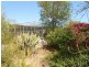 648 Railway Terrace, Bungama SA 5540