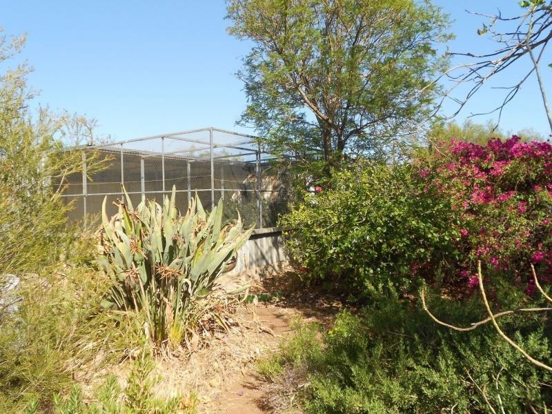 648 Railway Terrace, Bungama SA 5540