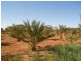 648 Railway Terrace, Bungama SA 5540
