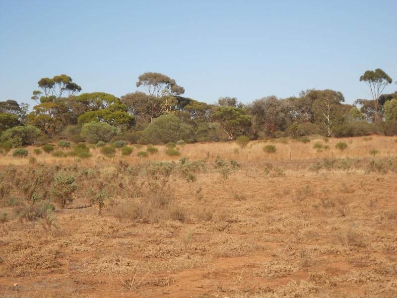 648 Railway Terrace, Bungama SA 5540