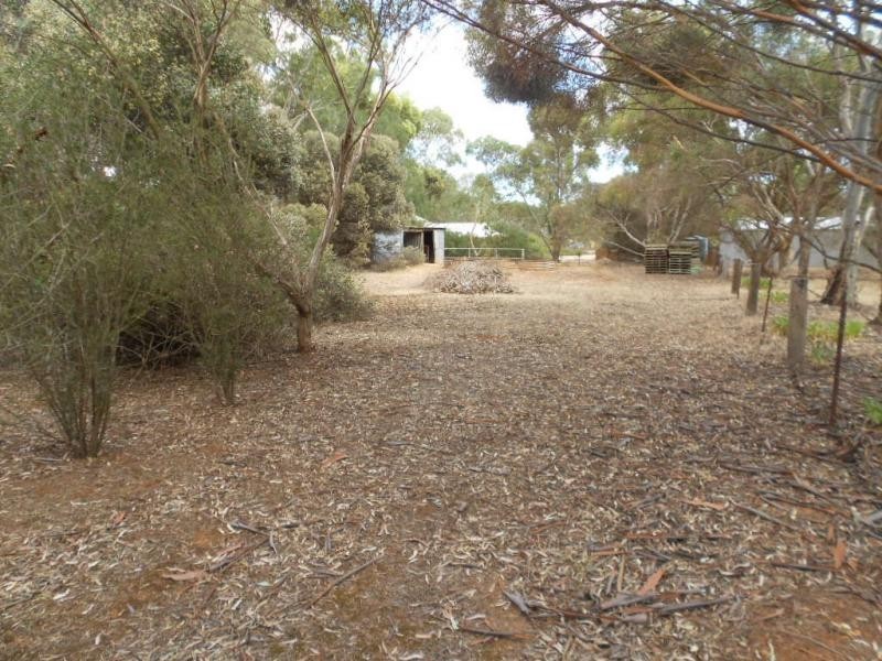 38 Cronin Street, Jamestown SA 5491