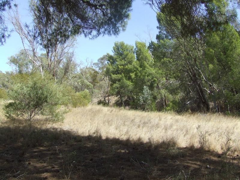 147 Palmer Road, Beetaloo SA 5523