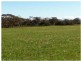 1048 North Fishermans Bay Road, Mundoora SA 5555