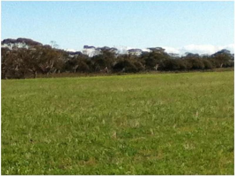 1048 North Fishermans Bay Road, Mundoora SA 5555