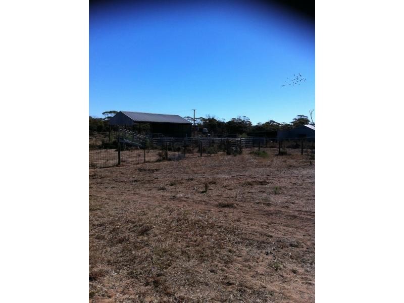 1048 North Fishermans Bay Road, Mundoora SA 5555