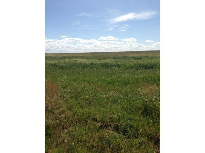 1048 North Fishermans Bay Road, Mundoora SA 5555