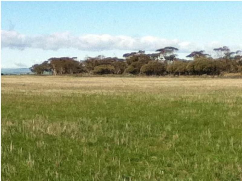 1048 North Fishermans Bay Road, Mundoora SA 5555