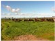 1048 North Fishermans Bay Road, Mundoora SA 5555