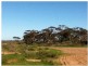 1048 North Fishermans Bay Road, Mundoora SA 5555