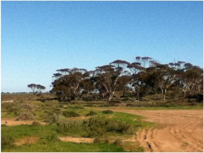 1048 North Fishermans Bay Road, Mundoora SA 5555