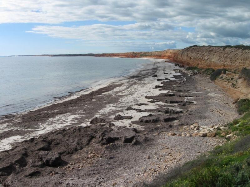 3 Heather Court, Balgowan SA 5573