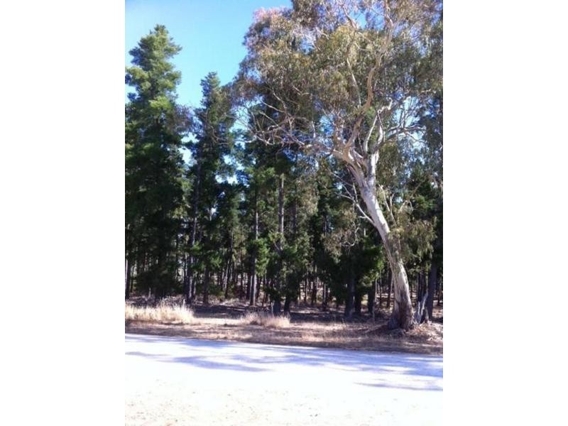 75 Block 9 Road, Wirrabara SA 5481