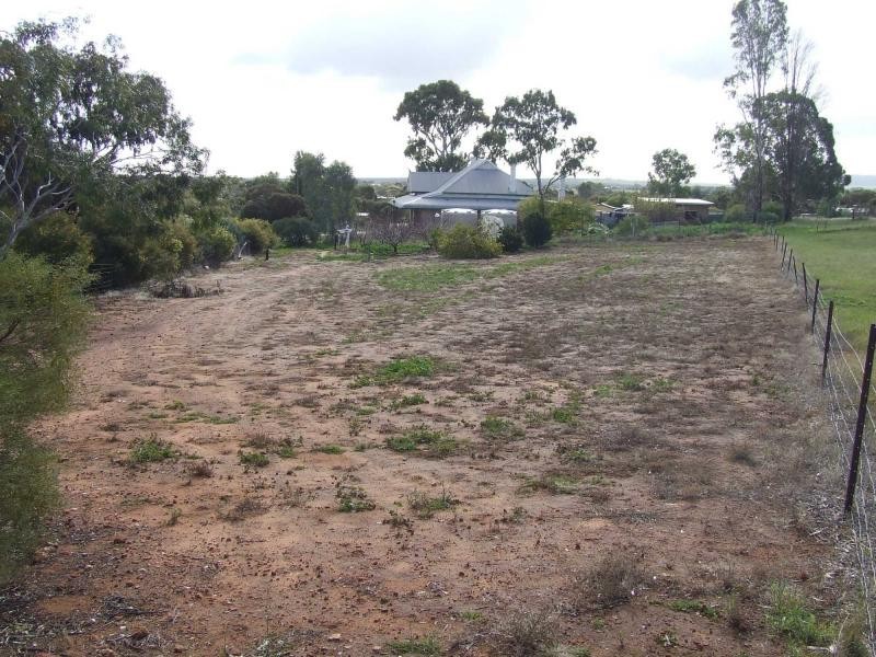 L56 Mercowie Road, Crystal Brook SA 5523