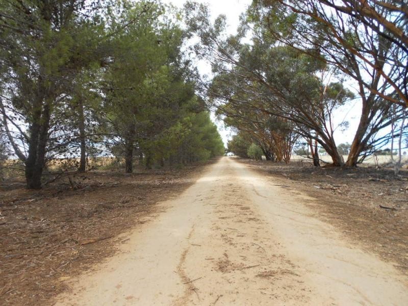 L760 Booleroo-Jamestown Road, Booleroo Centre SA 5482