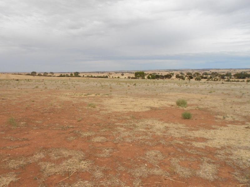 L760 Booleroo-Jamestown Road, Booleroo Centre SA 5482