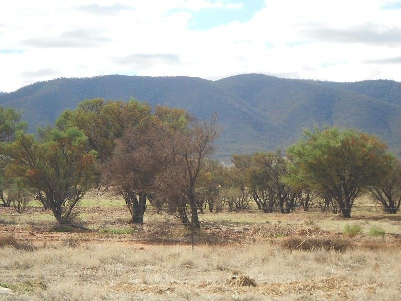 217 Olive Grove Road, Napperby SA 5540