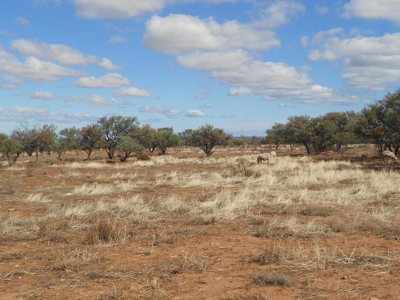 217 Olive Grove Road, Napperby SA 5540