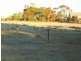 5 Warner Road, Jamestown SA 5491