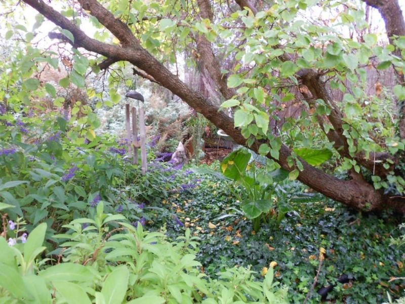 54 Government Road, Peterborough SA 5422