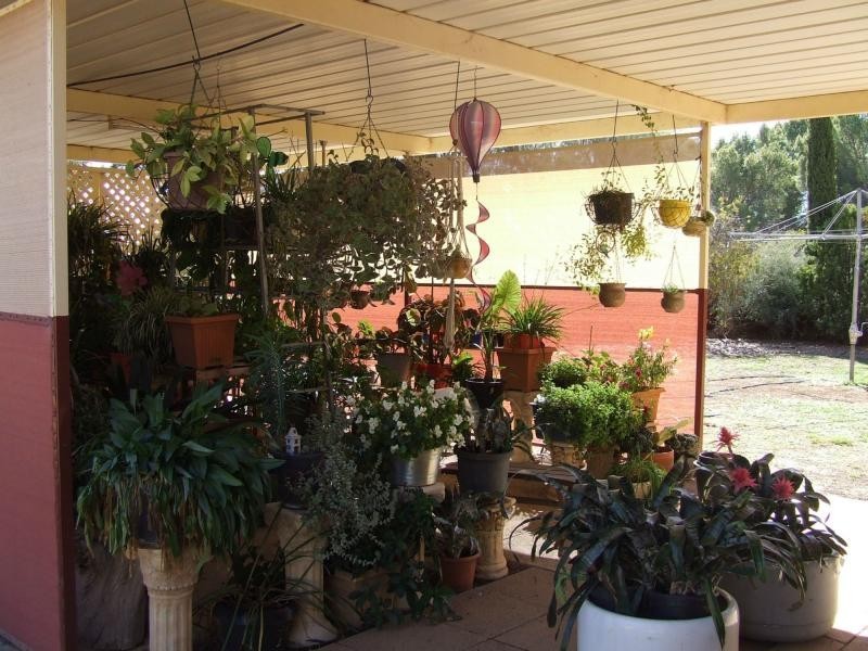 1396 Goyder Highway, Narridy SA 5523