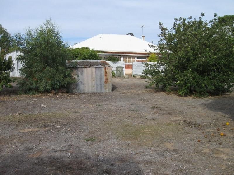 8 Walter Street, Maitland SA 5573