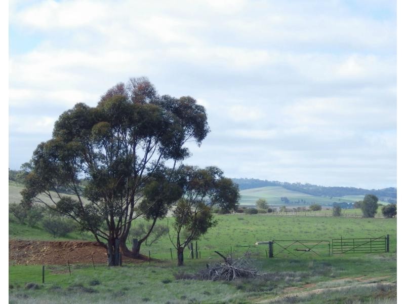 257 Claremont Road, Appila SA 5480