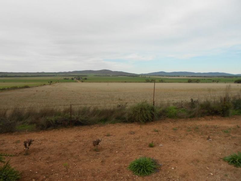 Pt Section 10N Ron Piggotts Road, Booleroo Centre SA 5482