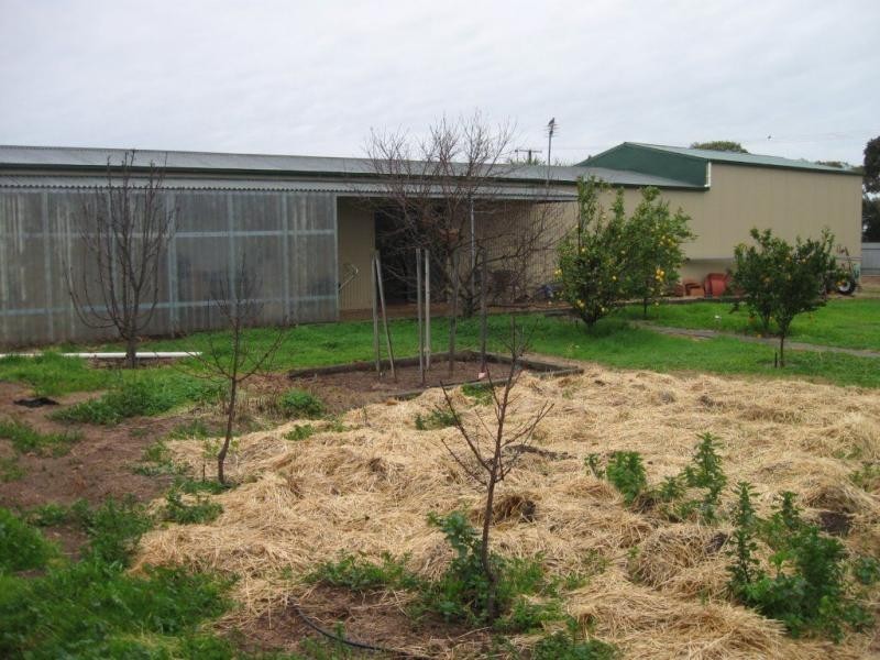 21 Parnell Terrace, Price SA 5570